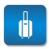 ico-chemodan